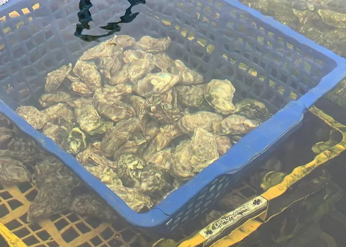 Le Pressoir, Maison Au Calme, Grand Jardin, Vue Degagee Sur Les Champs, Belle Terrasse, 3 Chambres, 2 Sdb, 2 Wc, Parking Prive, 5 Kms De Bayeux Et 7 Kms D'arromanches Au Coeur Des Plages Du Debarquement